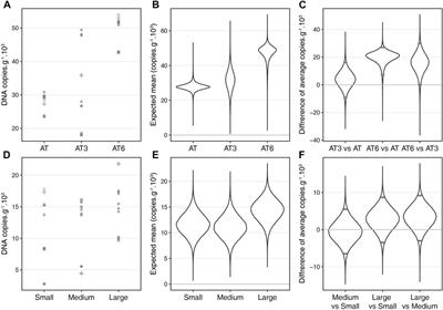 Do temperature and population size structure influence the quantity of fish eDNA in water?